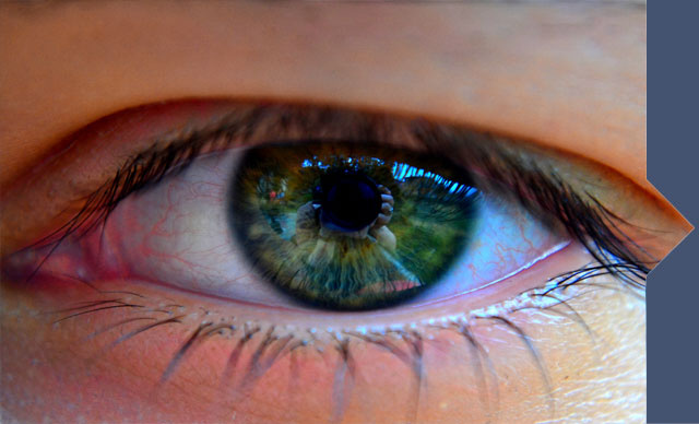 slidecontentimage0131